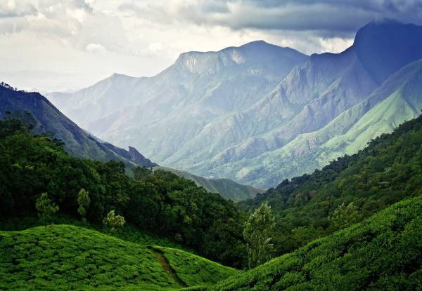Anamalai Hills Tamil Nadu