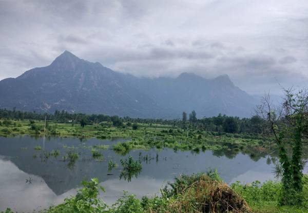 Kolli Hills Tamil Nadu
