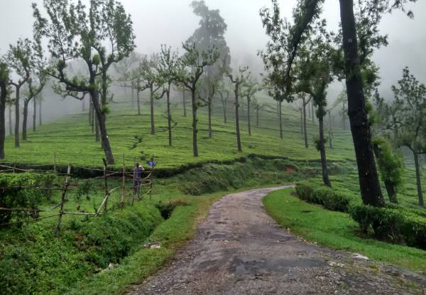 Manjolai Hills Tamil Nadu