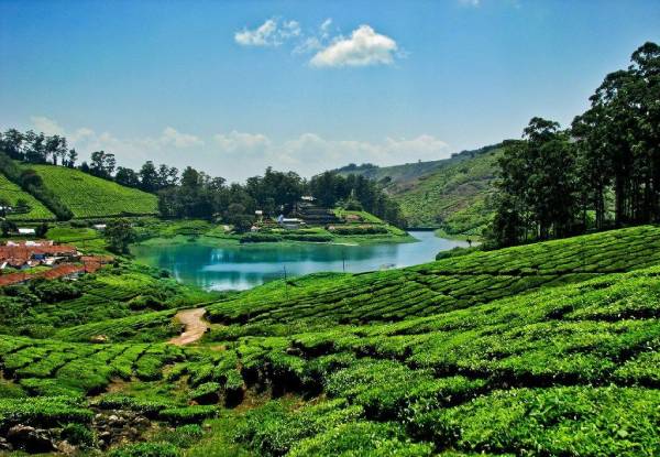 Meghamalai Hill Station Tamil Nadu