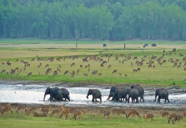 Topslip Hill Station Tamil Nadu