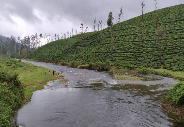 Valparai Hill Station Tamil Nadu